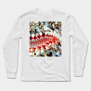 Bearded Fire Worm Long Sleeve T-Shirt